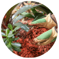 Garden maintenance